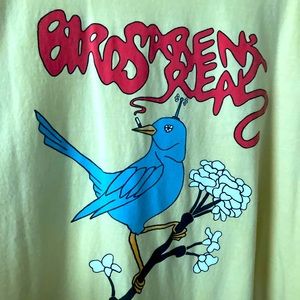 Mens “Birds Aren’t Real” Yellow Graphic T - 2XL